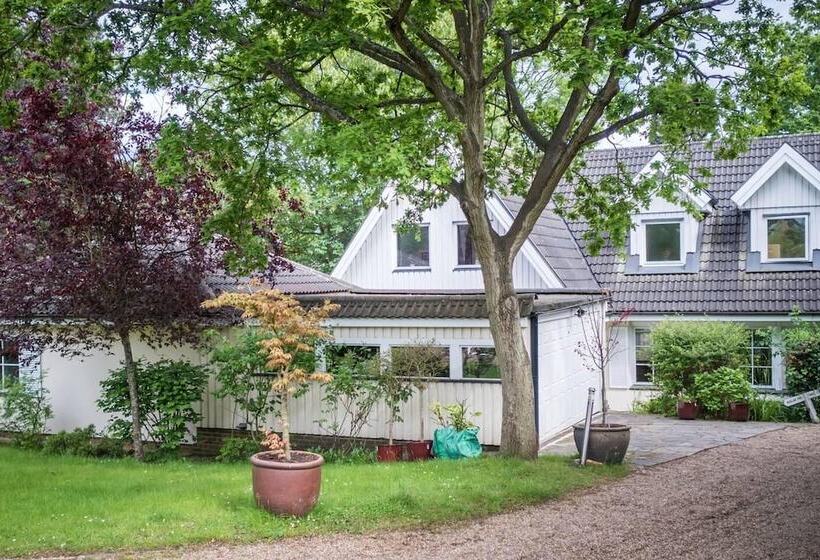 住所  Large 3 Bed House With Separately Bookable Studio