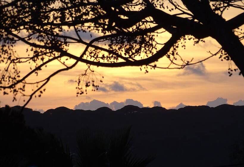 Sueña La Breña