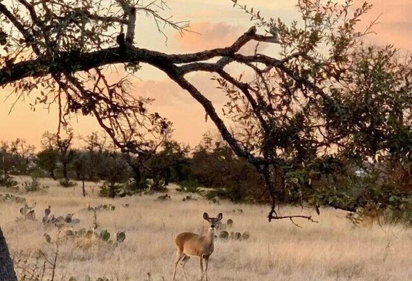 The Meadow Hill Country Sunset Views!