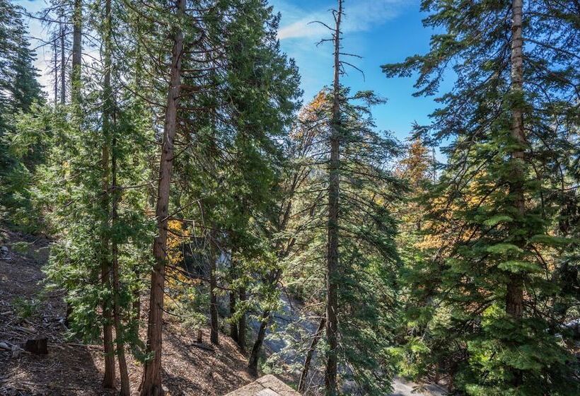 Timber Lodge Yosemite Enveloped In Nature!