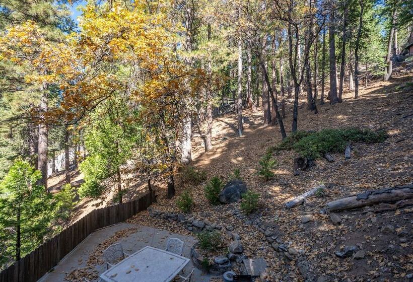 Timber Lodge Yosemite Enveloped In Nature!