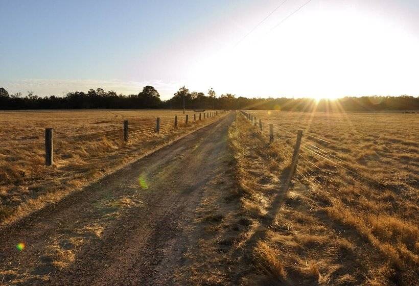Wilga Farm Stay   Shearer S Shacks   Single
