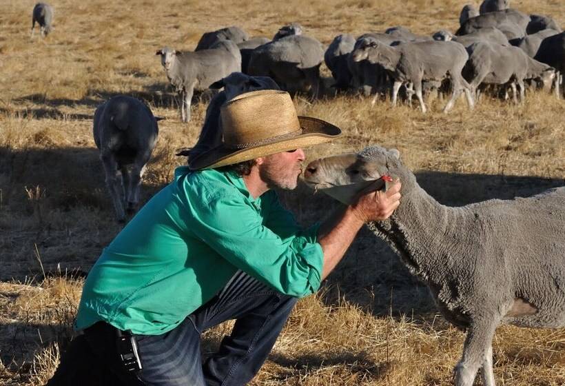 Wilga Farm Stay   Shearer S Shacks   Single