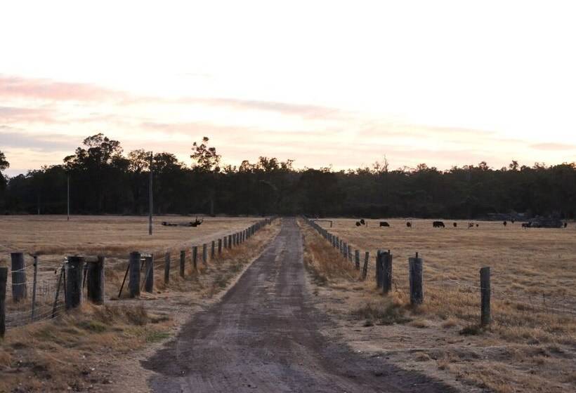 Wilga Farm Stay   Shearer S Shacks   Single