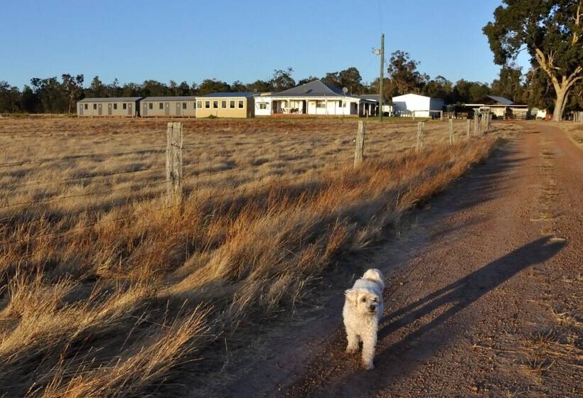Wilga Farm Stay   Shearer S Shacks   Single