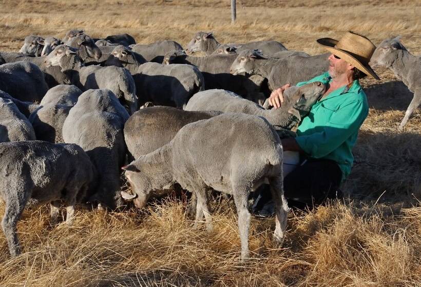 Wilga Farm Stay   Shearer S Shacks   Single