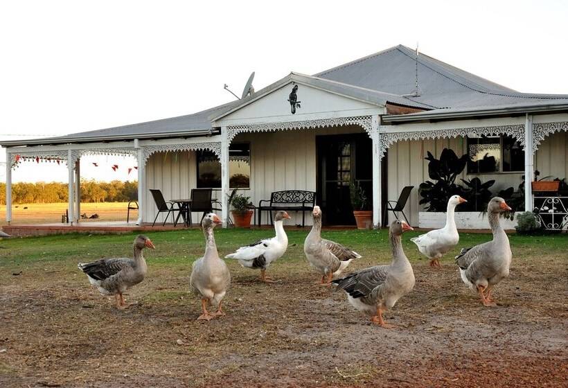 Wilga Farm Stay   Shearer S Shacks   Single