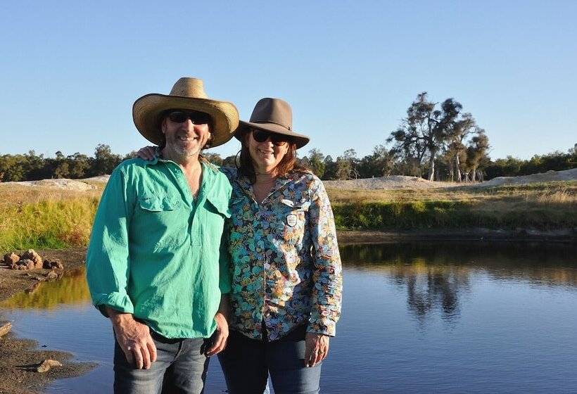 Wilga Farm Stay   Shearer S Shacks   Single