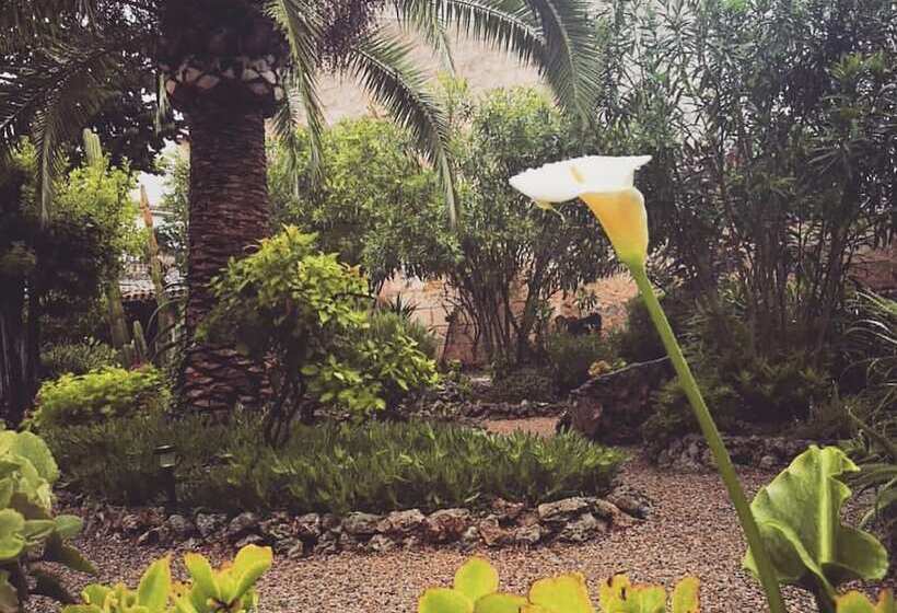 酒店 Casa Mona Turismo De Interior