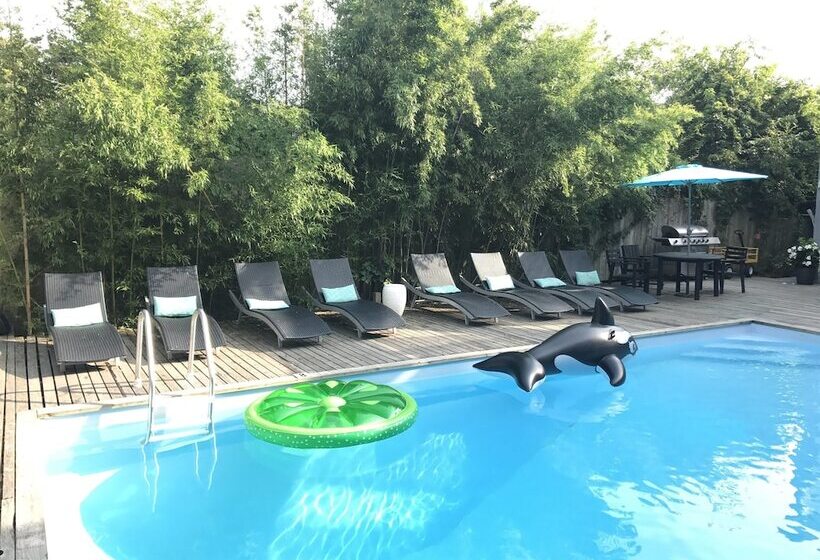 פנסיון The Madison Fire Island Pines