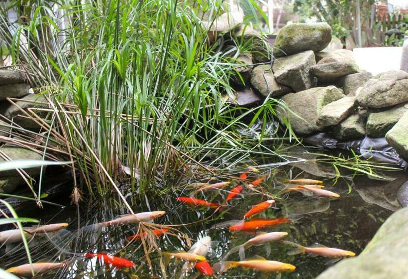 هاستل The Village Glebe