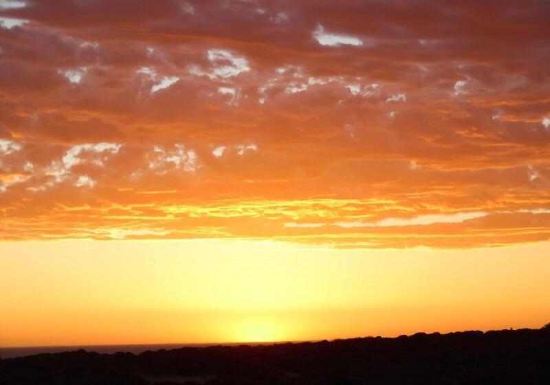تختخواب و صبحانه On The Deck @ Shark Bay