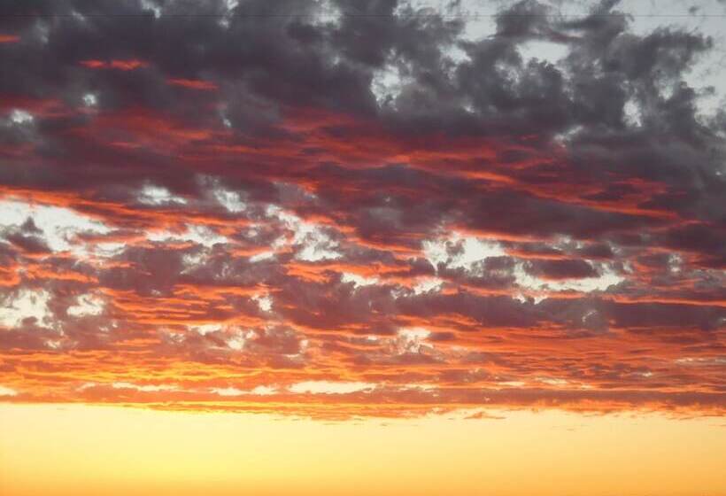 تختخواب و صبحانه On The Deck @ Shark Bay