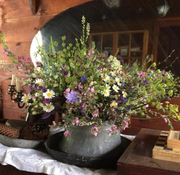 Bed and Breakfast Darina Guest House