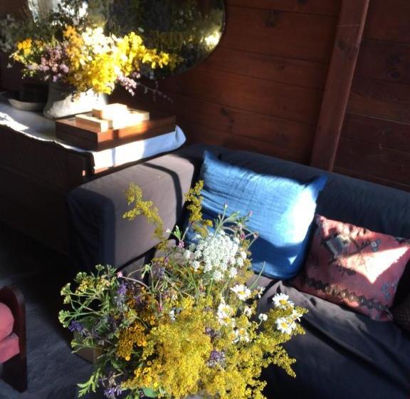 Bed and Breakfast Darina Guest House