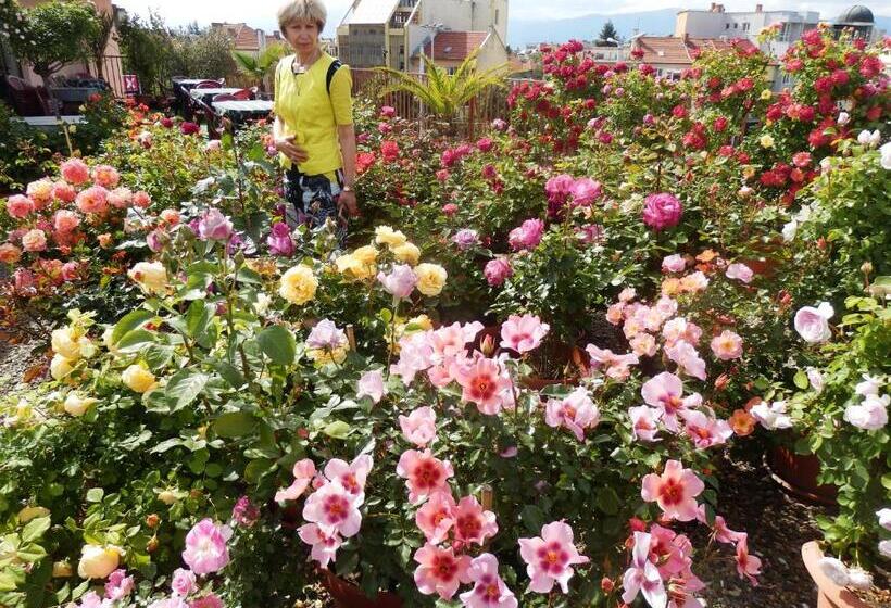 Otel семеен хотел роза