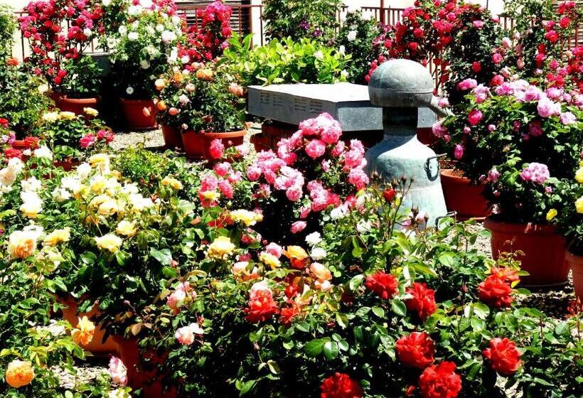 Otel семеен хотел роза