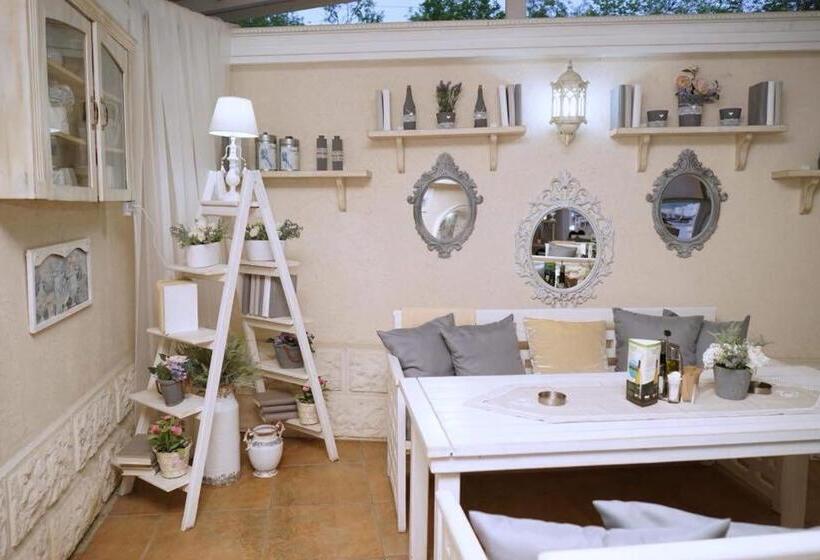 Hotel бутиков хотел History