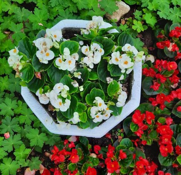 ホテル Albatros 2 Family