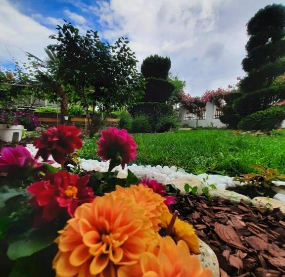 ホテル Albatros 2 Family