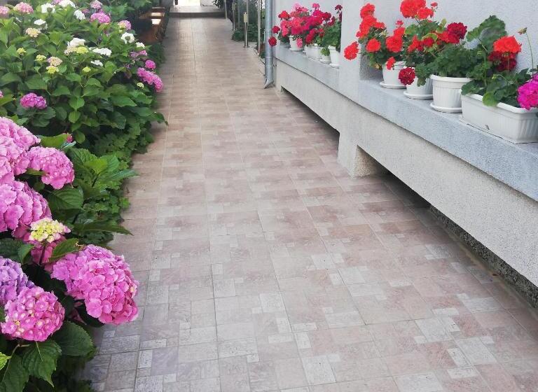 ホテル Albatros 2 Family