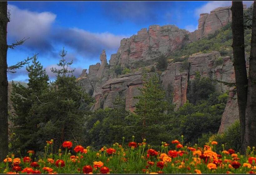 호텔 Castle Cottage Bed & Breakfast