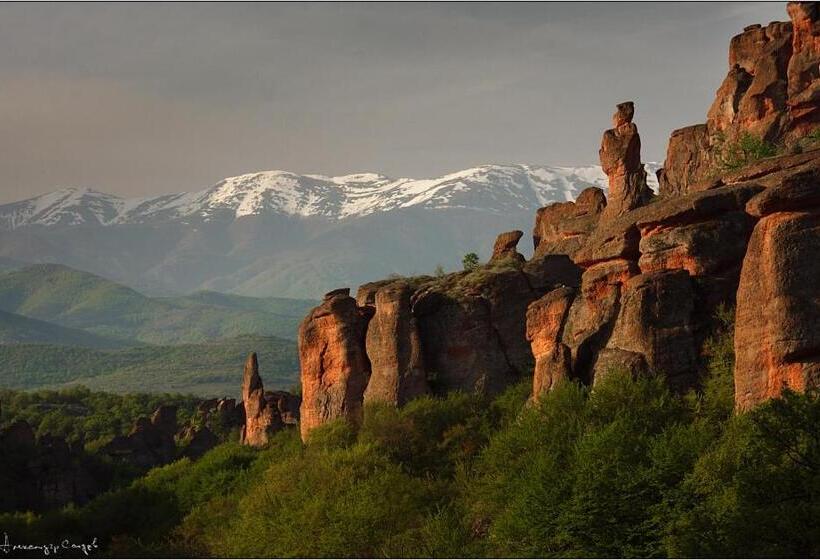 호텔 Castle Cottage Bed & Breakfast