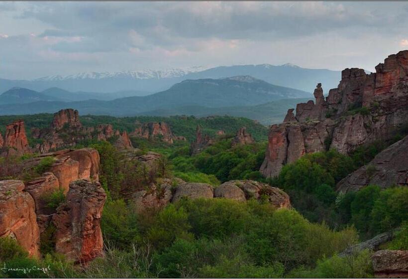 호텔 Castle Cottage Bed & Breakfast