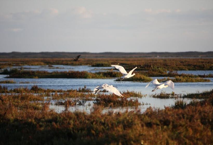Отель Cidade De Olhao
