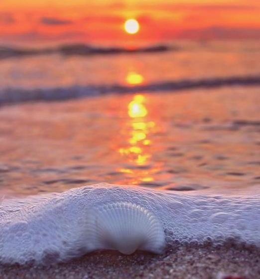 Family Hotel Electra