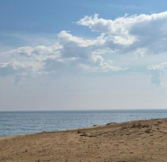 ホテル Elizabeth Dy Boutique