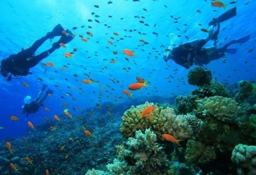 호텔 Eole Tarifa Rooms