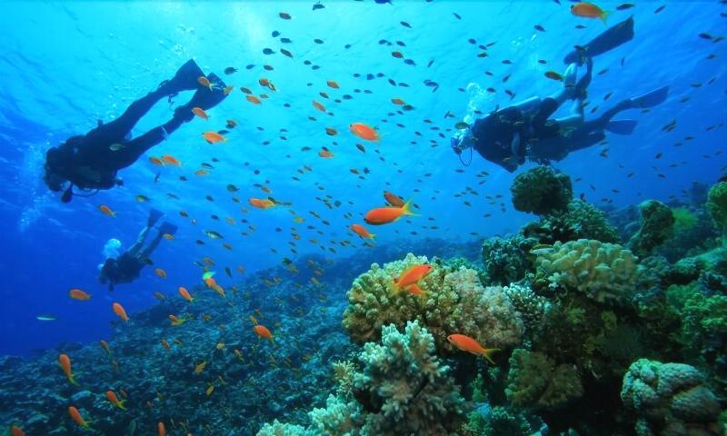 호텔 Eole Tarifa Rooms