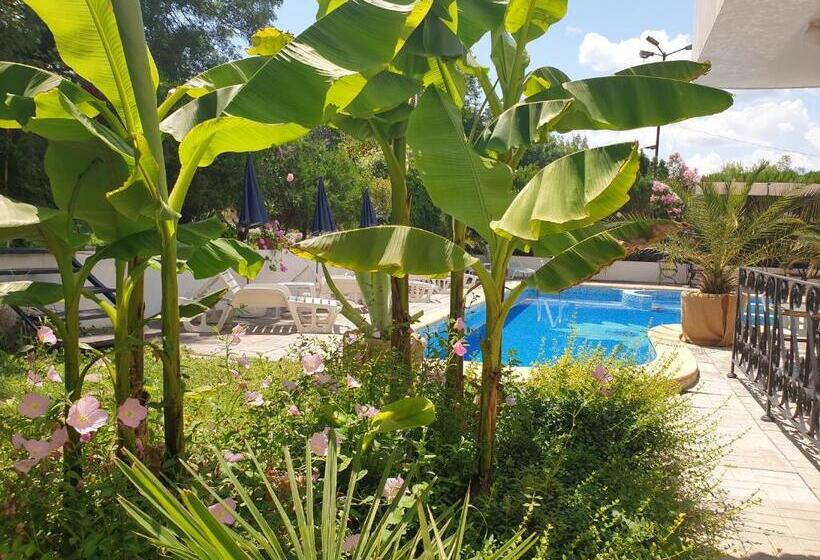 בית מלון כפרי Feniks