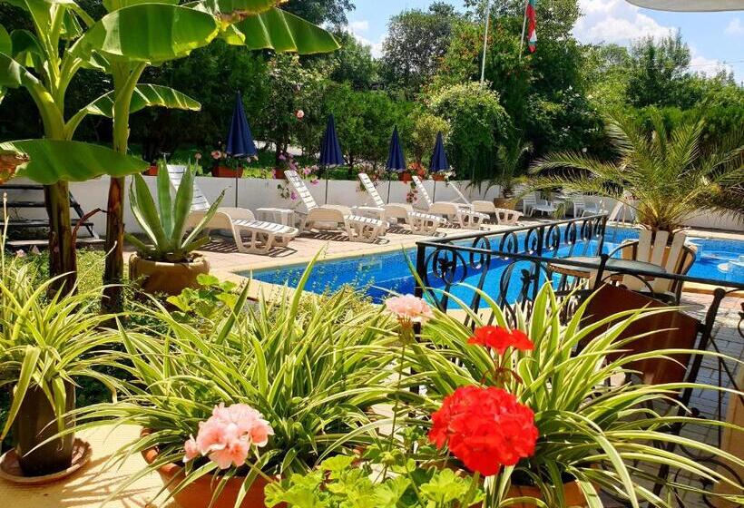 בית מלון כפרי Feniks