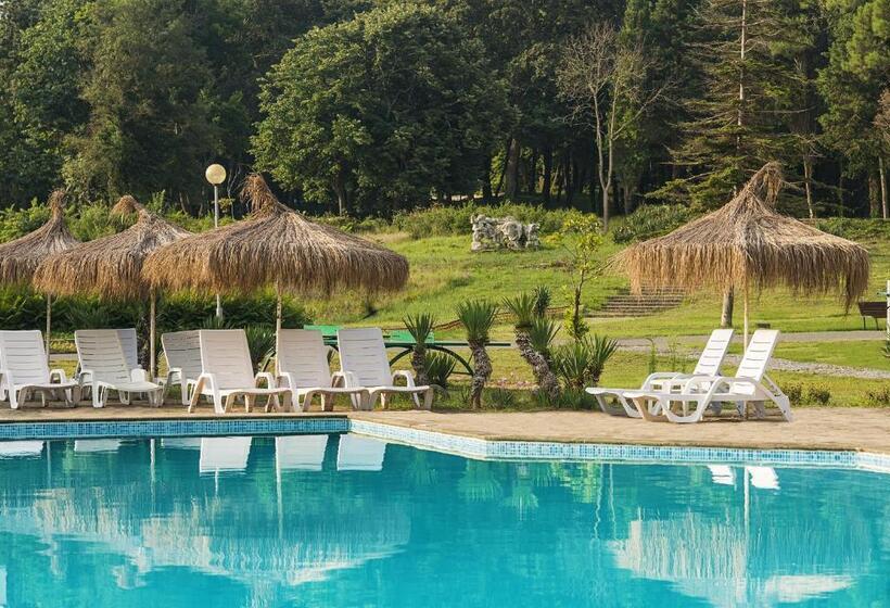 Отель Forest Beach