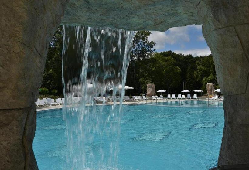 Отель Forest Beach