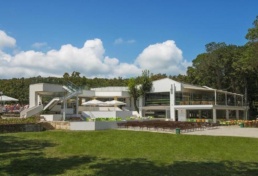 Отель Forest Beach