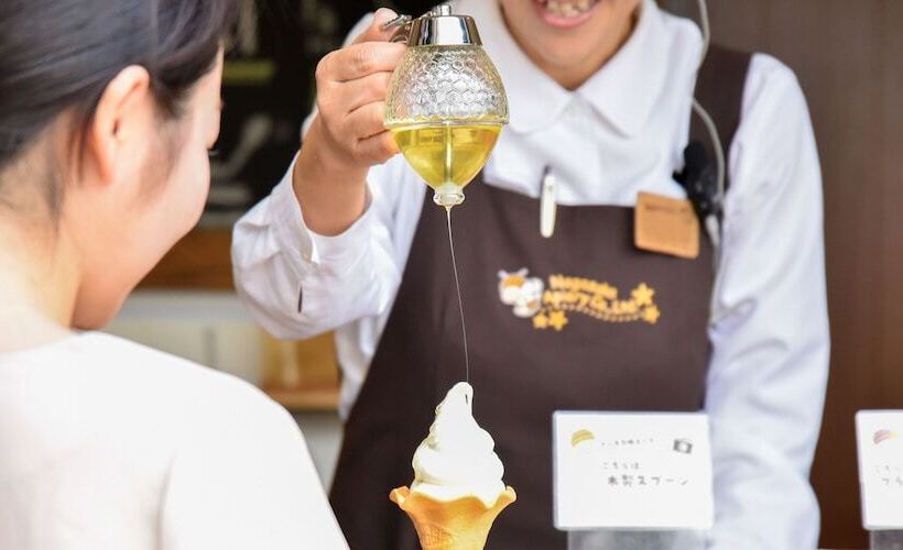 酒店 Hamanako Lake Side Plaza