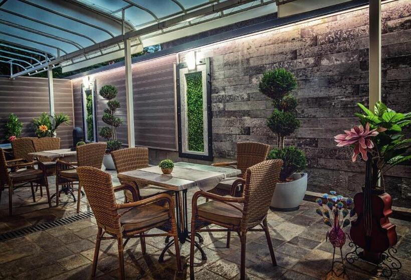 בית מלון כפרי Idol