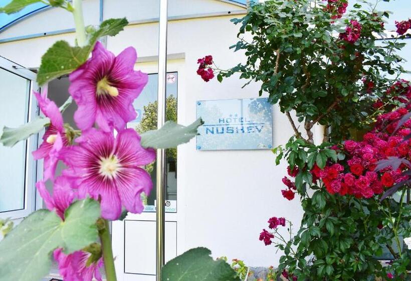 Отель Nushev