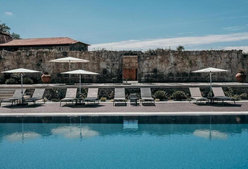 酒店 Paço De Vitorino