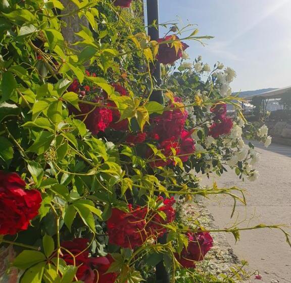 호텔 Regina Maria Spa Design