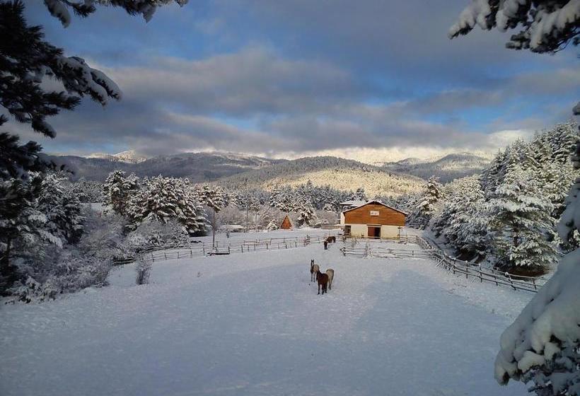 酒店 Rusaliite Adventure House