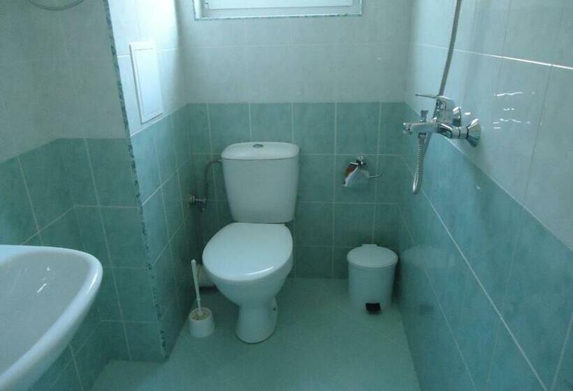 酒店 Pension Ruskovi Guesthouse