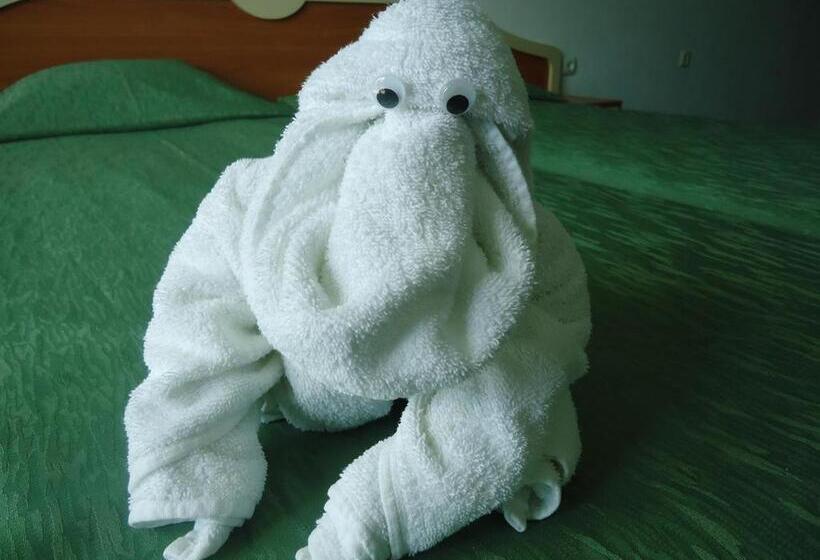 酒店 Pension Ruskovi Guesthouse