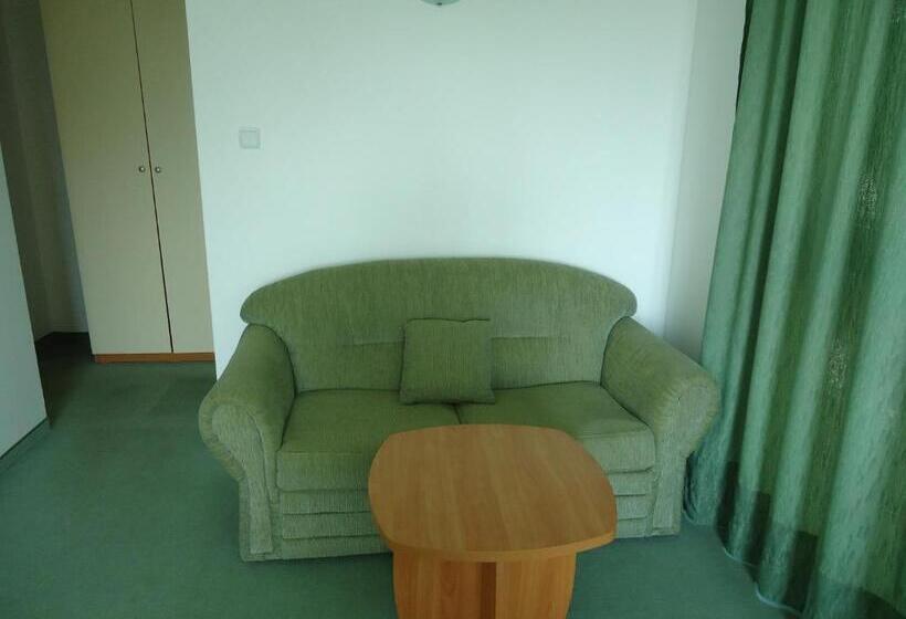 酒店 Pension Ruskovi Guesthouse