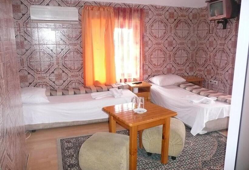 酒店 Shans 2 Hostel