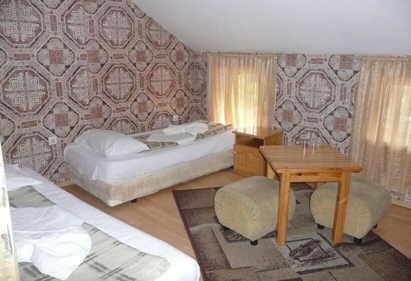 酒店 Shans 2 Hostel