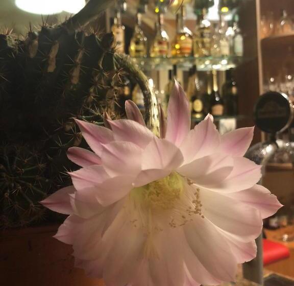 酒店 Sunny Paradise Family